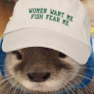 Meet your Posher, Neida